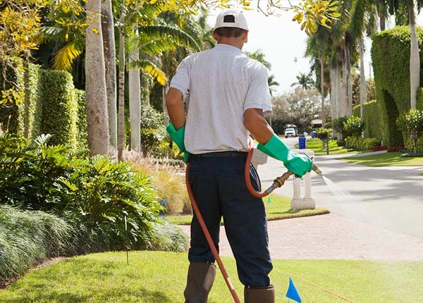 About North Star OH Pest Control